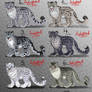 Male Snow Leopard Point Adopts - CLOSED