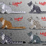 Female Snow Leopard Point Adopts - CLOSED