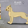 Kaidi - Character Design for Rinjapine