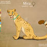 ''Mira'' Cheetah Character - Commission