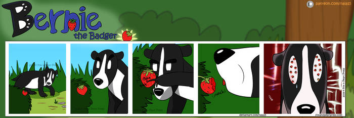 Bernie the Badger #7 - OMG Strawberry