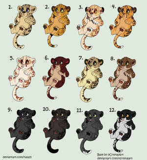 OPEN 5/12 - Leopard Cub Point Adopts