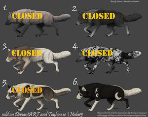 CLOSED - Emergency Wolf Adopts