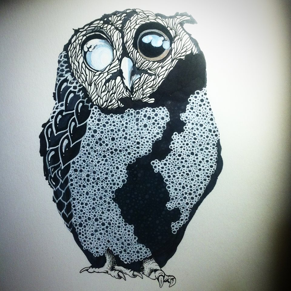 owl