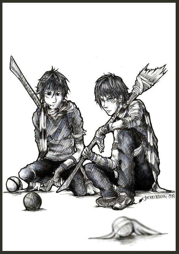 James and Sirius quidditch