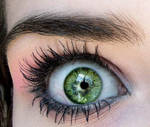 kiwi_eye by neriassonne