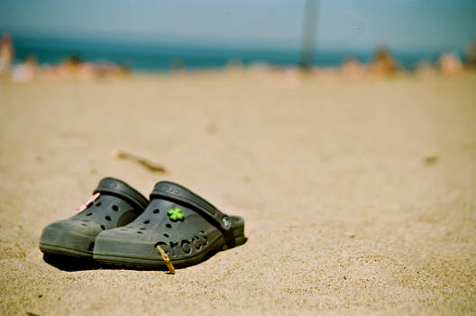 Lonely Crocs on the sand