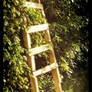 the ladder to heaven