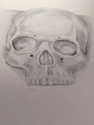 Pencil Skull without bottom jaw