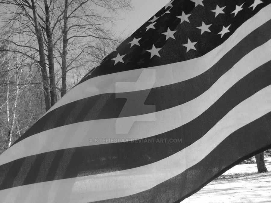 American Flag by stefieslay on DeviantArt
