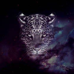 Galaxy Jaguar