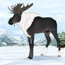 Maned Moose Export | C0004 | CLOSED