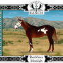 CCR Reckless Moolah (SOLD)