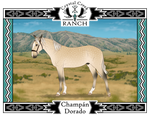 CCR Champan Dorado (SOLD) by ELGURITCH