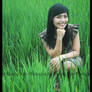 Sawah II