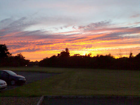 Sunset over some trees