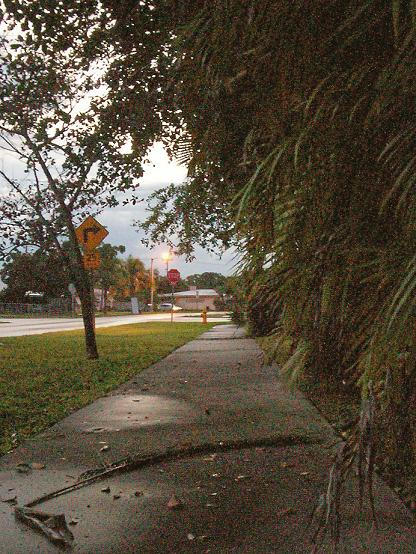 early morning bus stop.