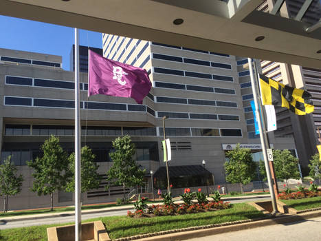 Bronycon flag at half mast