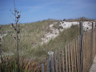 Dunes