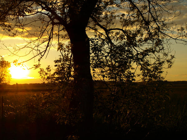 June Sunset Graphics June Sunset 2 by leeleechan on DeviantArt