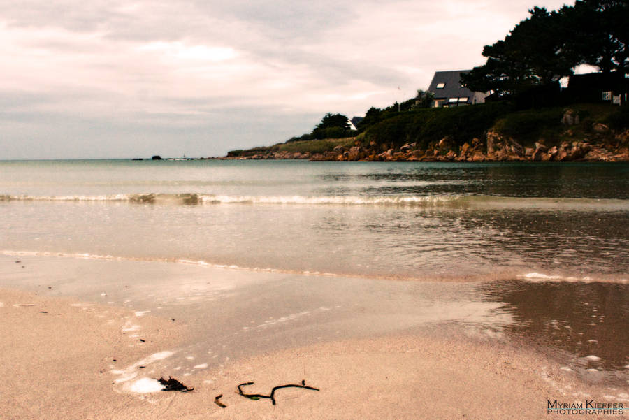 BEACH BACKGROUND STOCK by ArwenArts