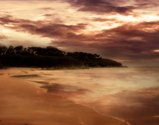 BEACH BACKGROUND STOCK II