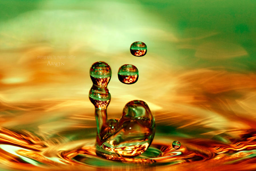 WATERING PLACE DROP