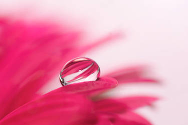 SOUL REFLECTION