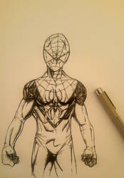 BRichardson SpiderSketch