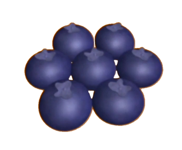Blueberries by dillcardinal1978 on DeviantArt Blueberries by dillcardinal1978 on DeviantArt