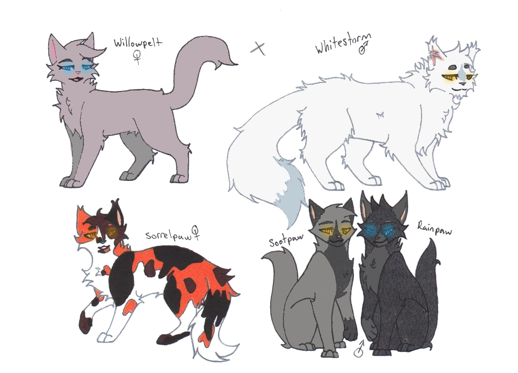 Part 2 of random warrior cats characters by Willowlynxstrom on DeviantArt