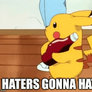 Haters gonna Hate