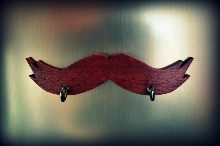 Moustache Fridge Magnet Hanger