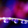 Droplets 2