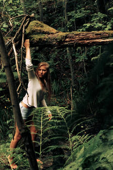 Norwegian Jungle 2