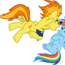 Spitfire yelling at Rainbow Dash