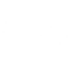 Sky Dancer symbol