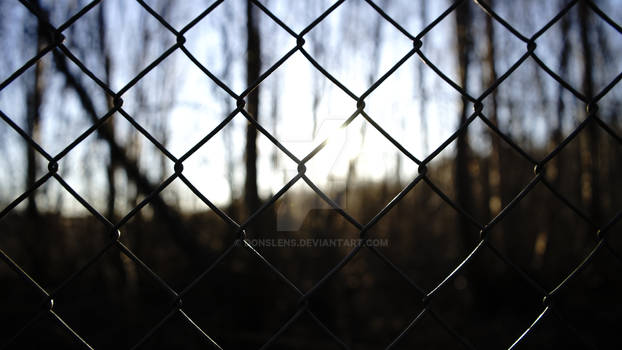 Focusing on the fence as danger lies beyond it.