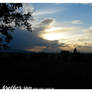 Brother Sun 2