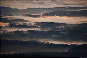 Bavarian Forest