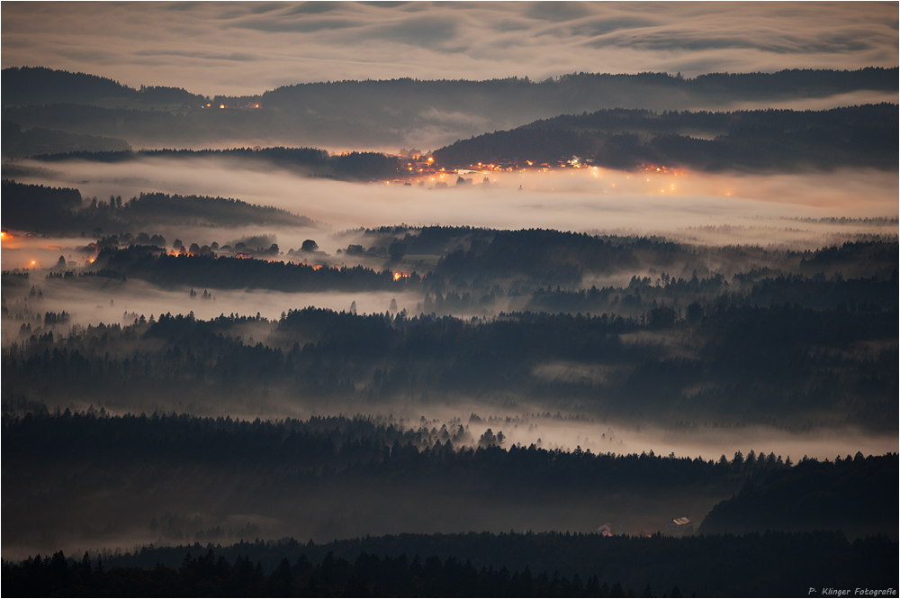 Bavarian Forest