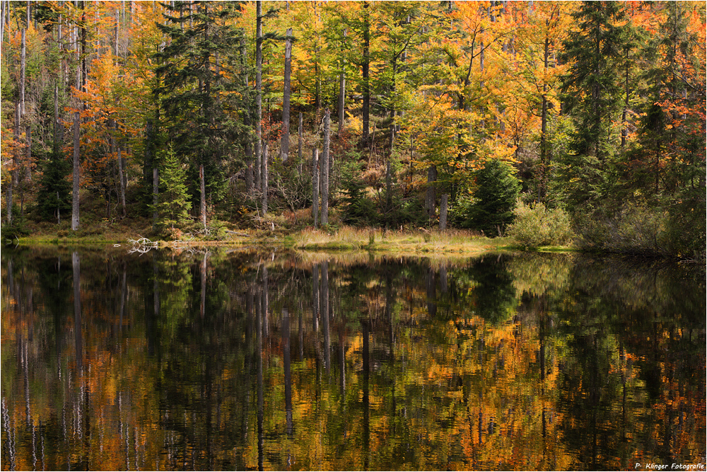 Autumn lake mirror