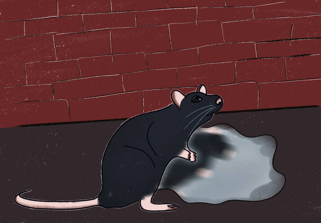 Poorly Rendered Rat Rat blur by modernelegance on DeviantArt
