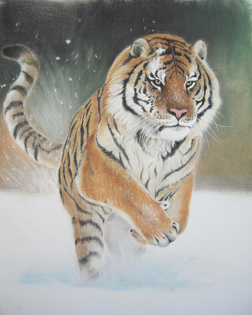 Siberian Tiger by AmaniWarrington on DeviantArt