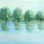 Trees Over Lake
