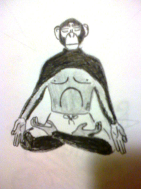 Monkey Form Deviantart monkey by T4o8 on DeviantArt