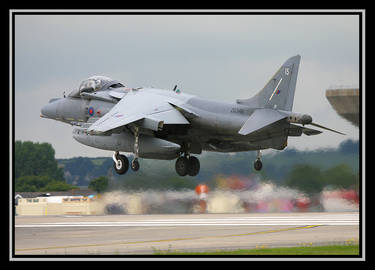 Harrier 1