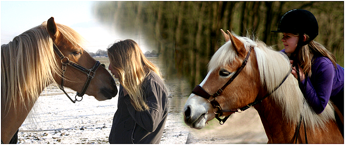 Me, my best friend and our horses