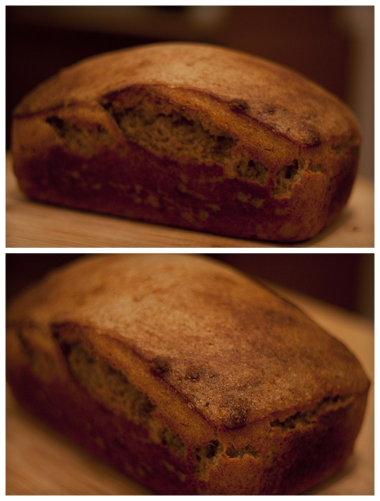 Moody Bread by RobynRose