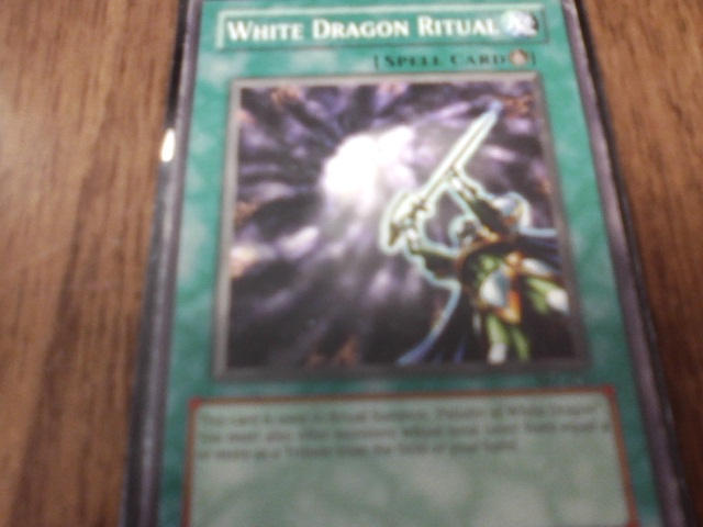 White Dragon Ritual by MasterChief2447 on DeviantArt